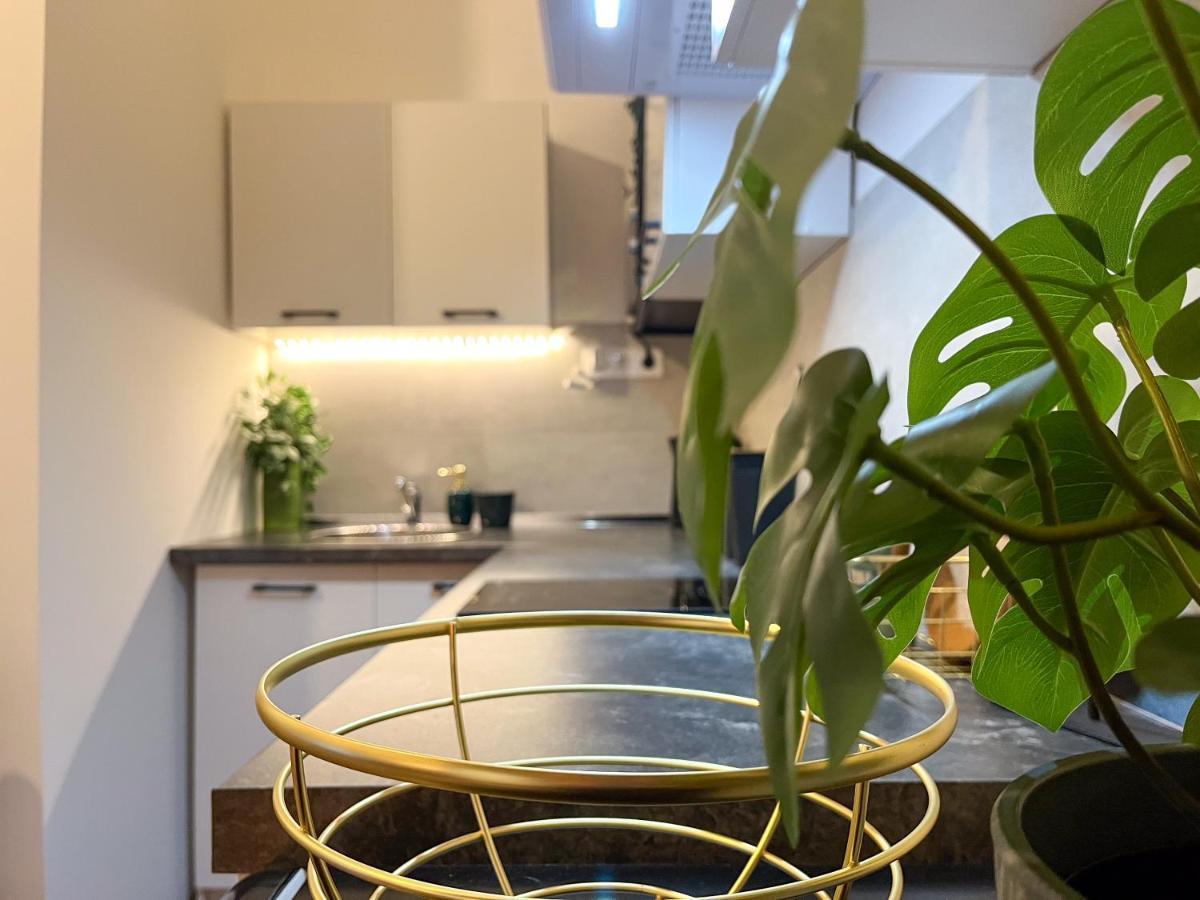 Green Goblin Apartment With Free Private Parking Budapesta Exterior foto